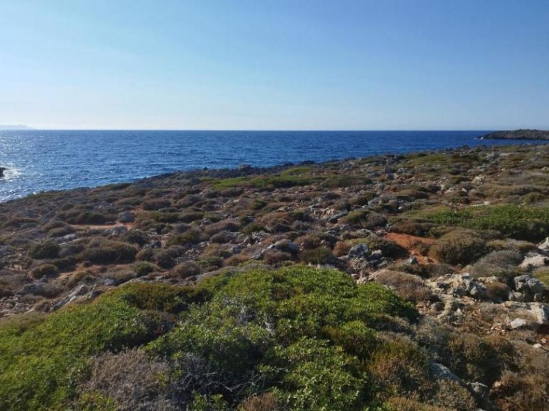 Stavros Kreta, Stavros: Küstengrundstücke mit Baugenehmigung und Meerblick zu verkaufen Grundstück kaufen